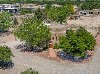 DragonFly_720 Sierra Vista_1