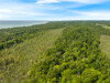 Aerial View 1