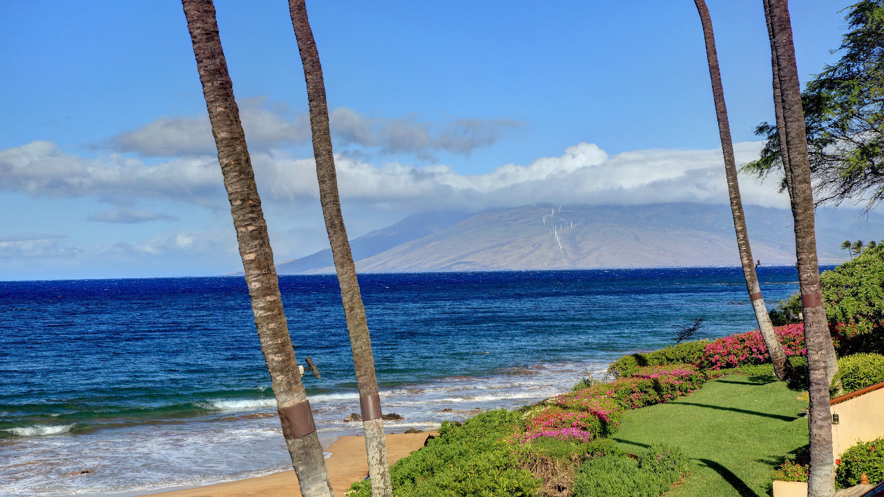 West Facing Ocean View