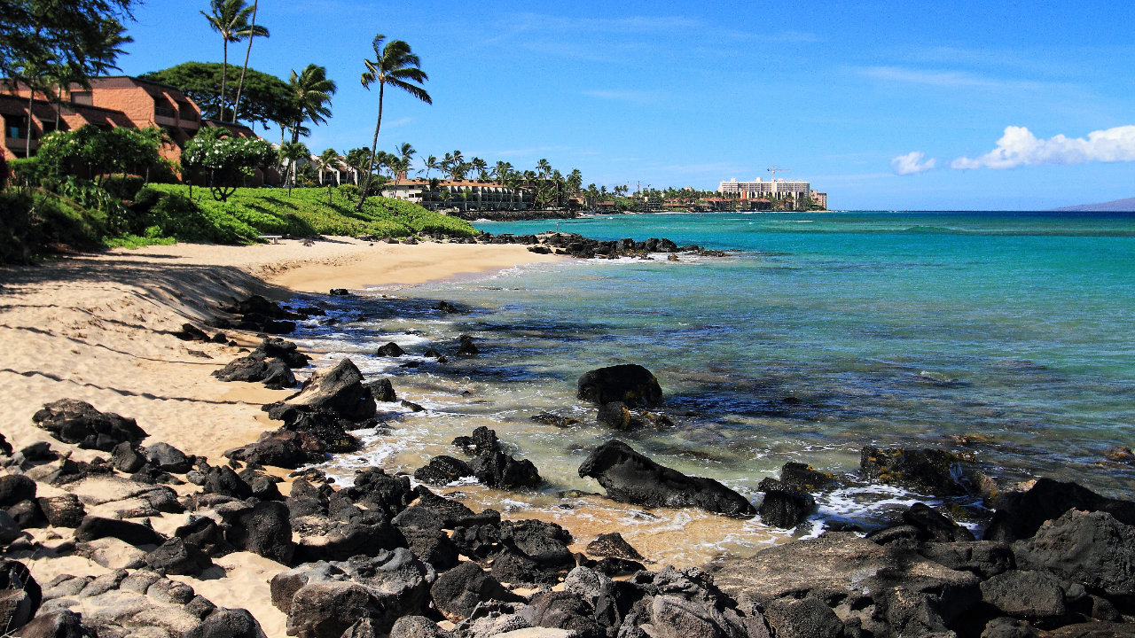 South Facing Beach Area