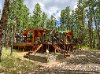 259 Forest Hill_1