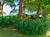 611 Parque Dr-1 - 611 Parque Dr