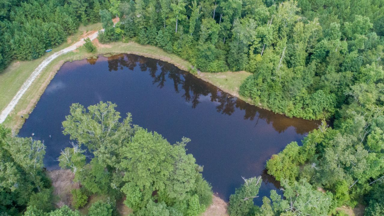 2.5 Acre Stocked SpringfeedPond
