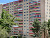 DragonFly_1331 Park 401_1