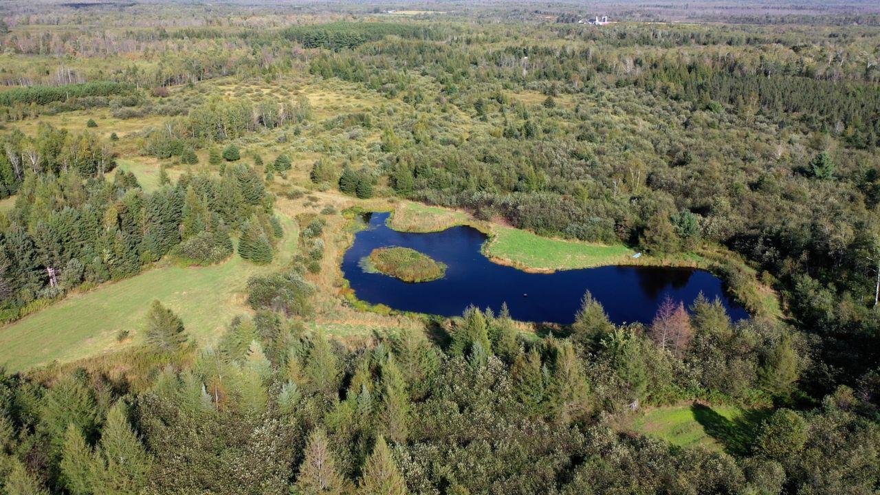 Call Holly Bowe @ (715) 577-4663