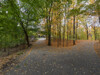 1 - 18125 Shavers Ln