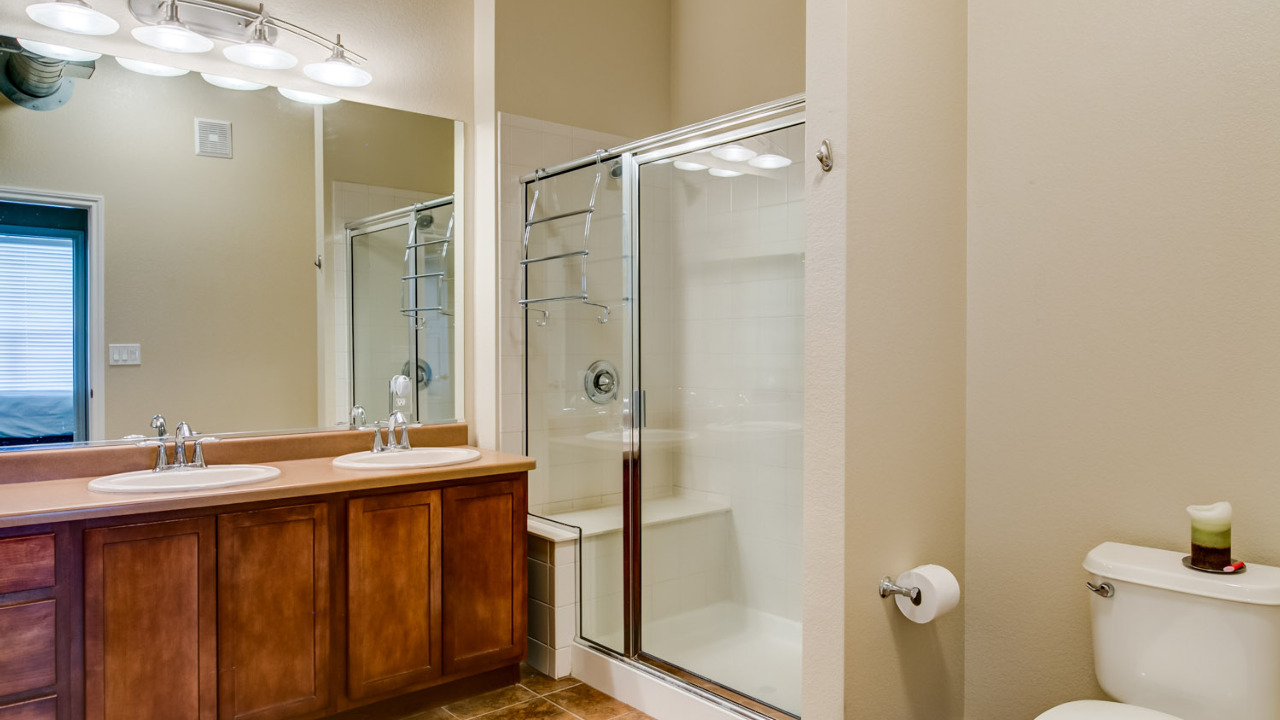 Gorgeous Master Bathroom
