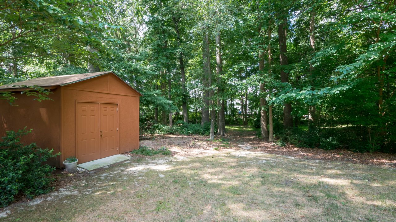 Back Yard and Shed