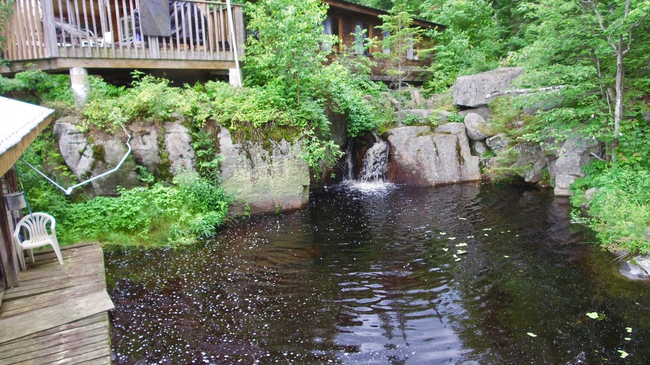 830 Weslemkoon Lake, GILMOUR, ON, K0L 1W0 Scene 3