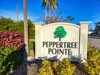 Peppertree