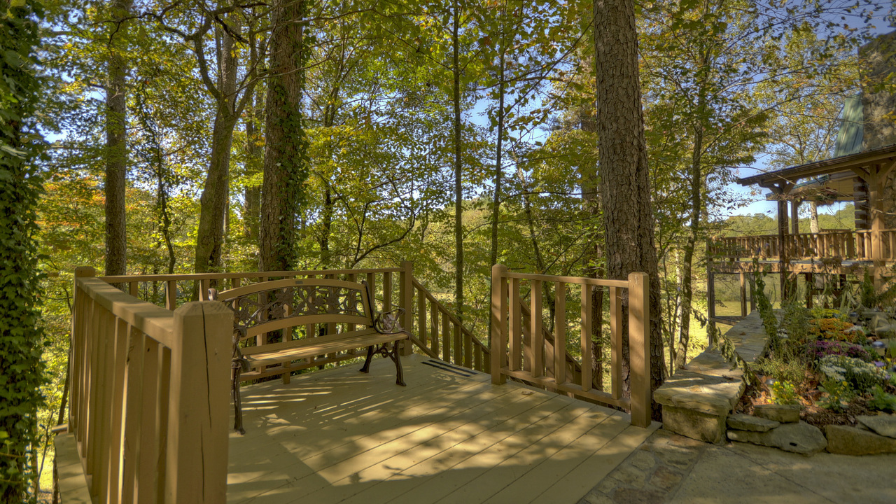 49 Ridge rd, Ellijay, GA, 30540 Scene 4