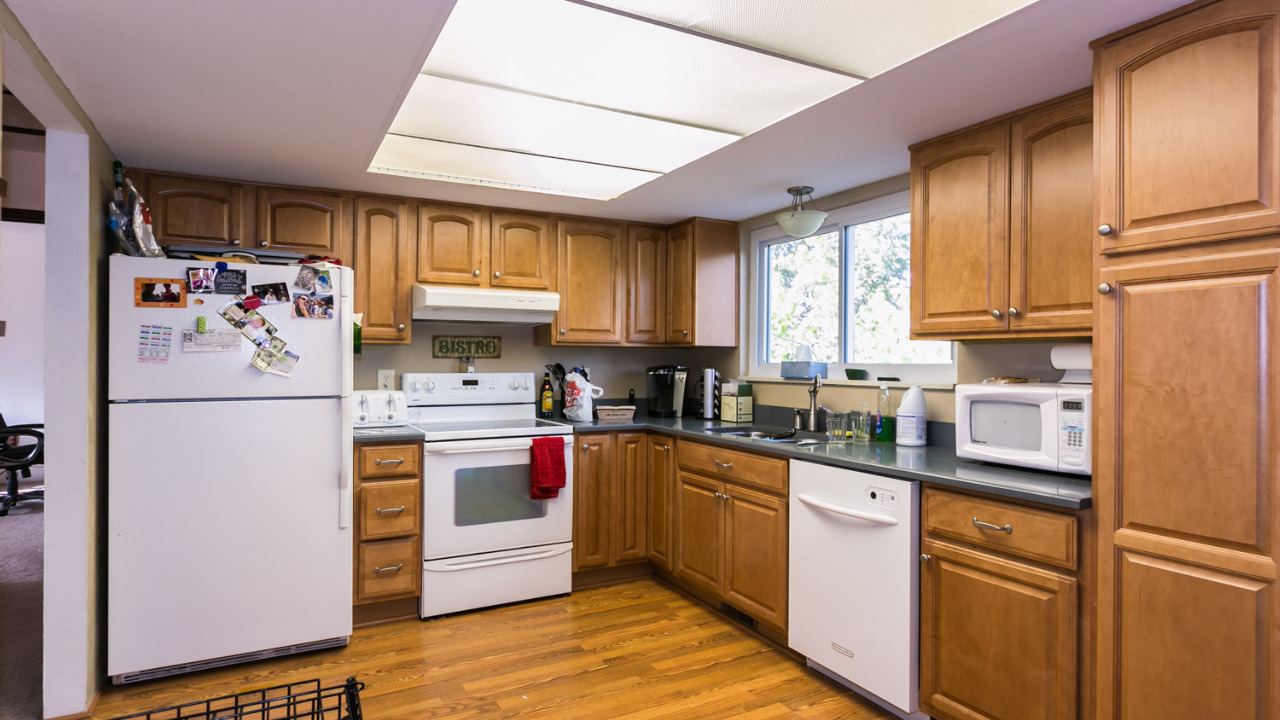 Kitchen View 1