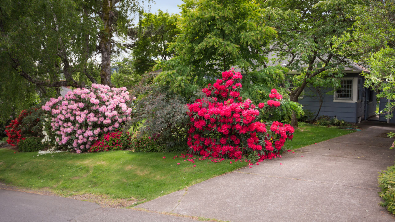 9335 SW 35th Ave.,, Portland, OR, 97219 Scene 4