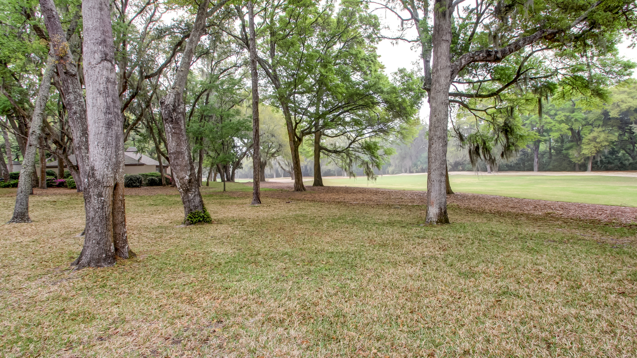 Golf Course View