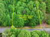 D1 - ROAD FRONTAGE INFO - 7716 Long Bay Pkwy