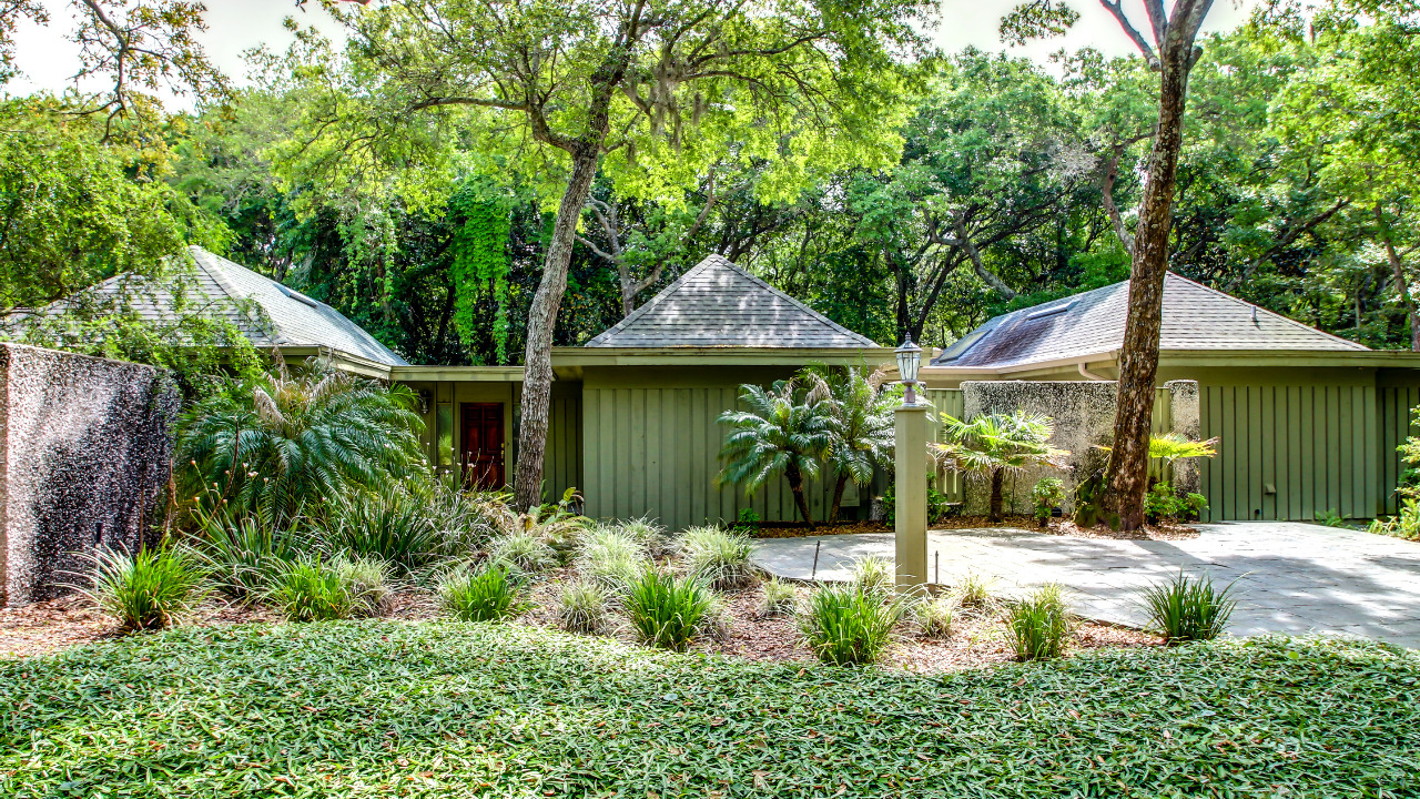 3 Green Winged Teal, Amelia Island, FL, 32034 Scene 2