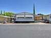  - 4237 Pinewood St
