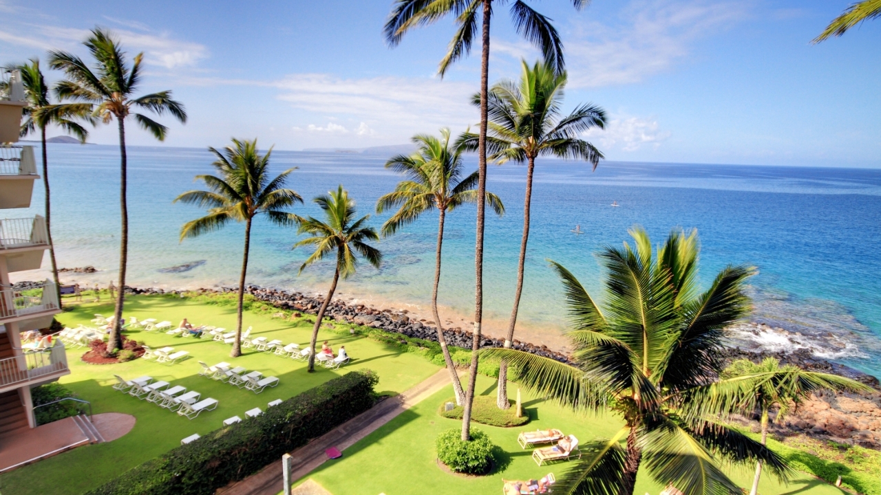 Lawn Area and Beach Access