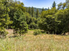 property view  - 2397 Parmabelle Rd