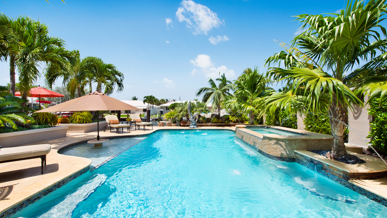 Pool & Patio