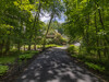 1 - 5955 Maple Forest