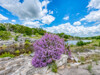  - Horseshoe Bay, TX, USA