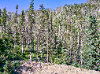 10 Lynx_1 - 10 Lynx Dr