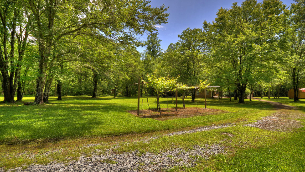 137 Friendship Lane, Mineral Bluff, GA, 30555 Scene 2