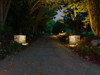 1 - 9991 Dell Rd