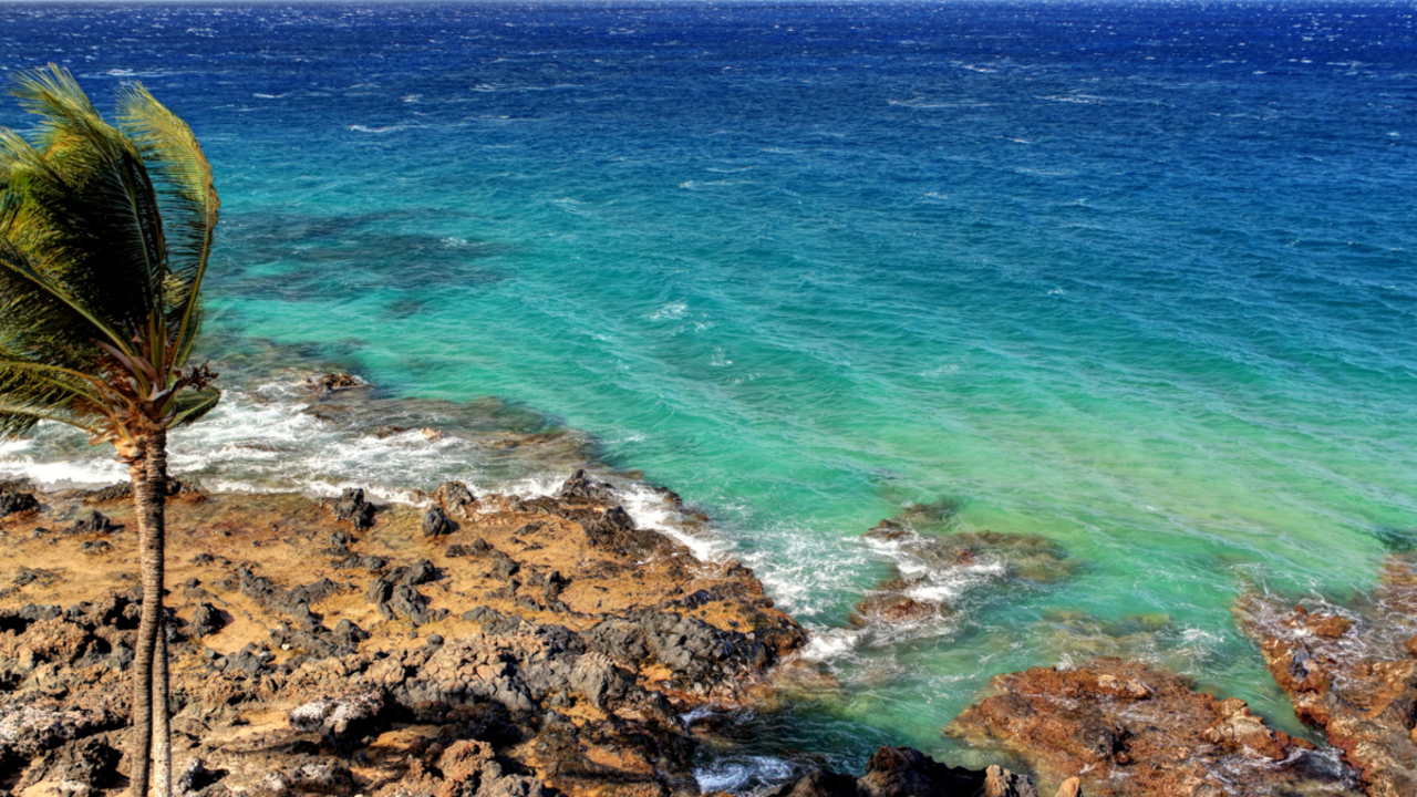 Southern Shoreline View