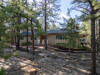  - 545 Tenderfoot Dr