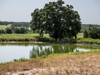 Pond 2-2 - 148 Private Rd 169