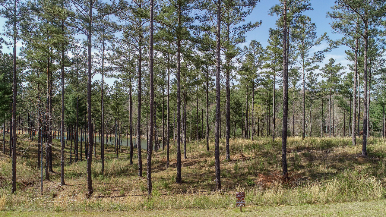 LT305 Thirteen Hundred, Blairsville, GA, 30512 Scene 2