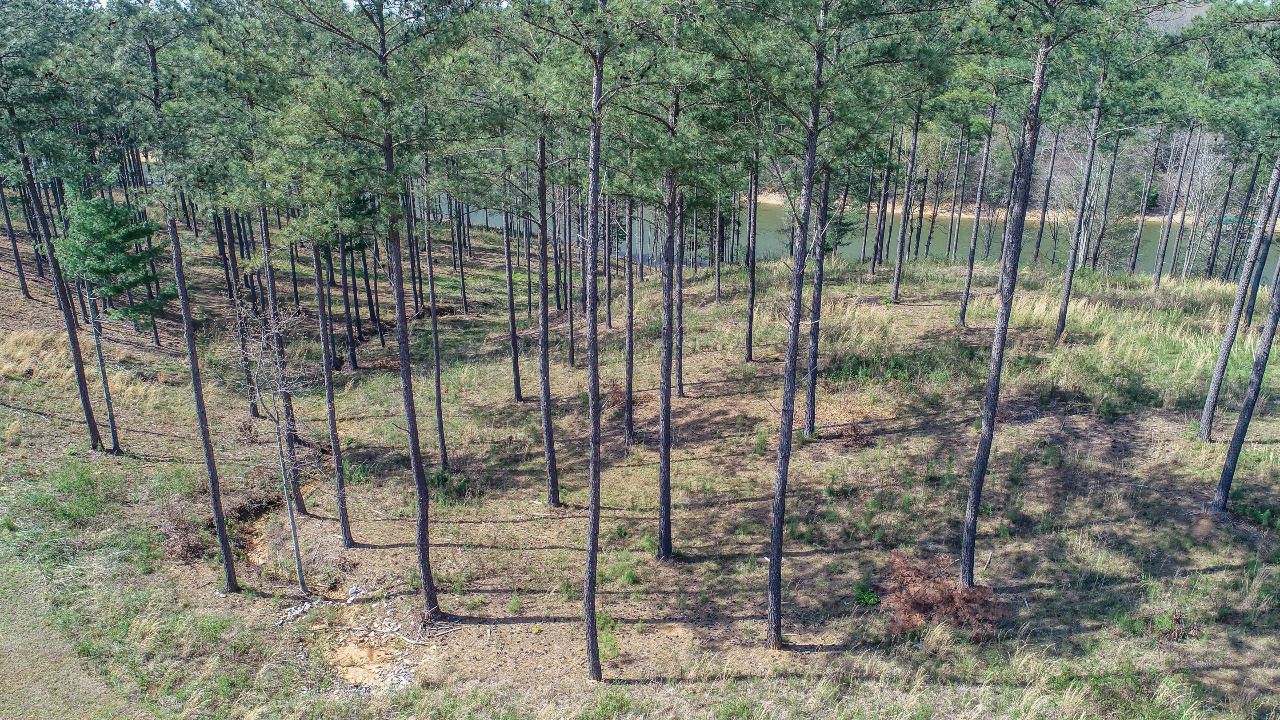 LT305 Thirteen Hundred, Blairsville, GA, 30512 Scene 4