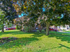 IMG_0001 - 84 Redan St