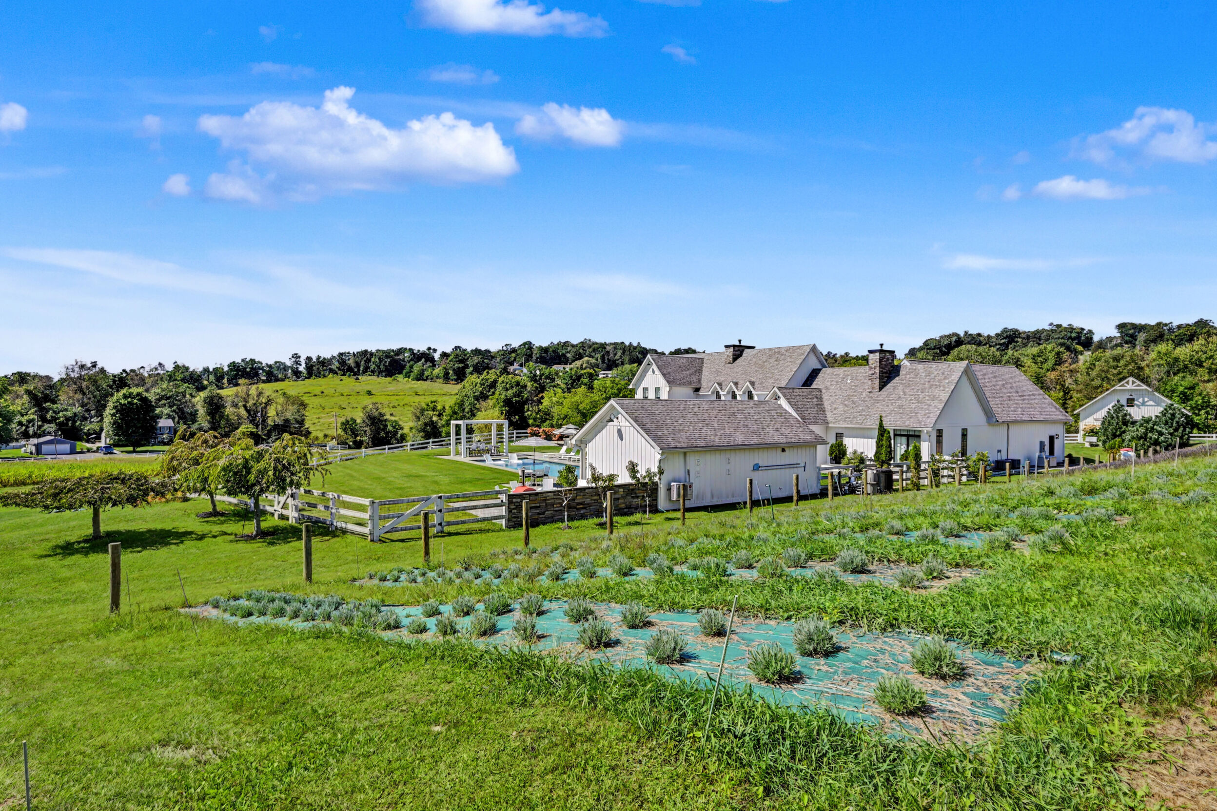 Orchard and gardens below the residence