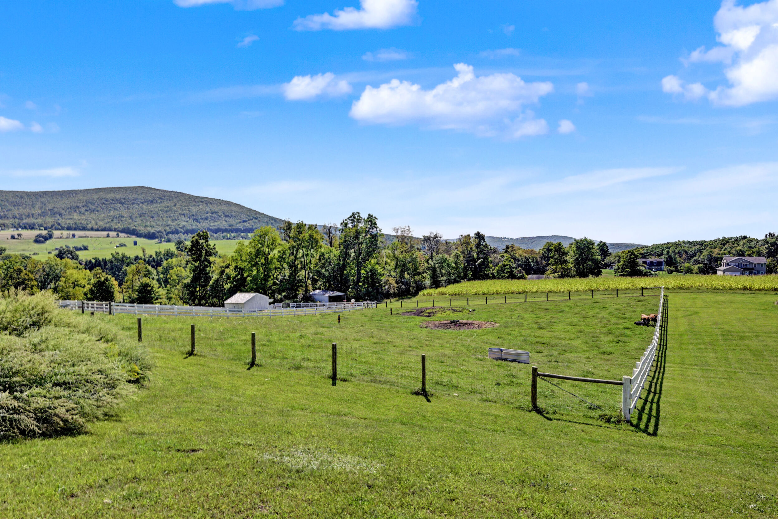 Pasture and mountain views