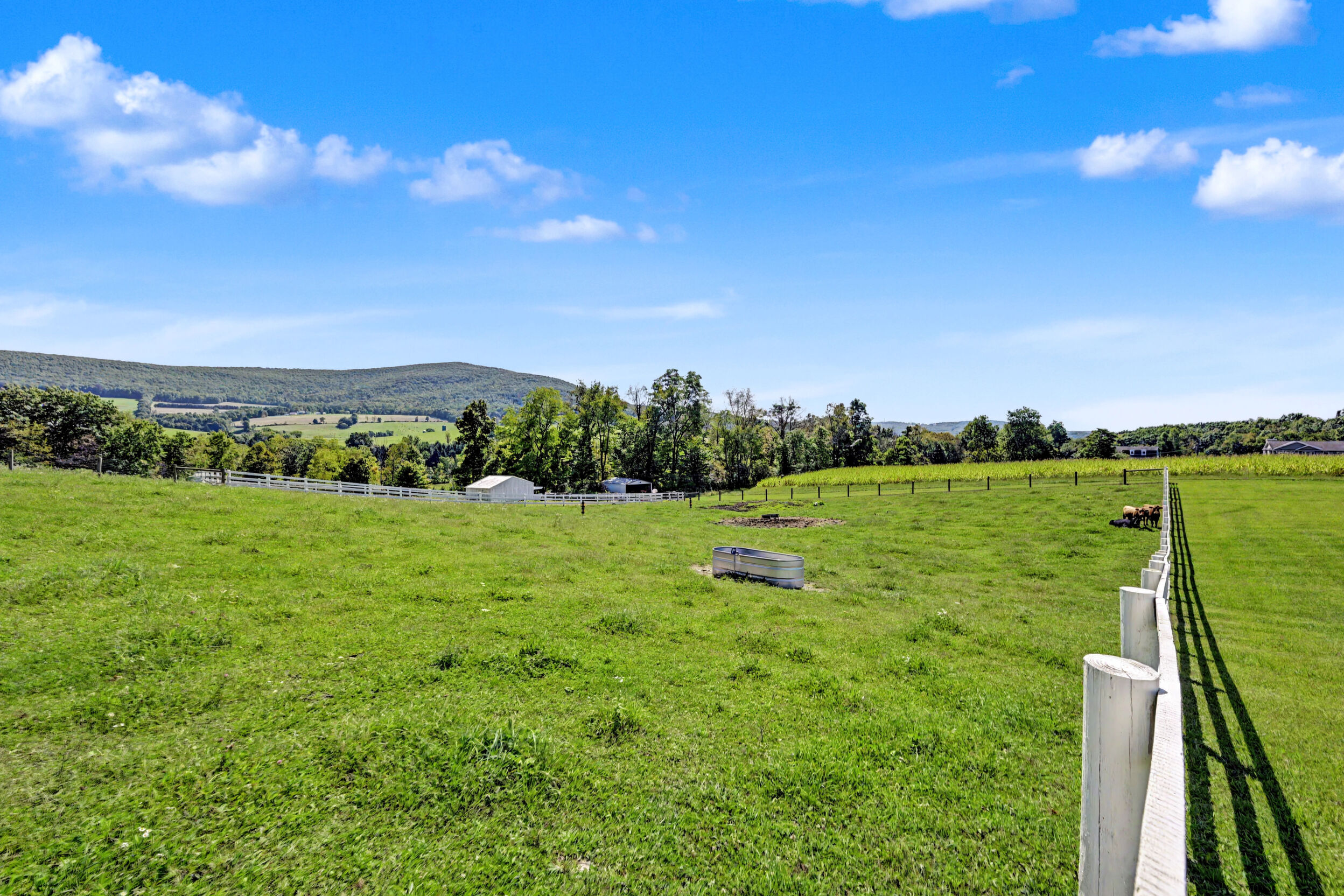 Fenced pasture and grazing land