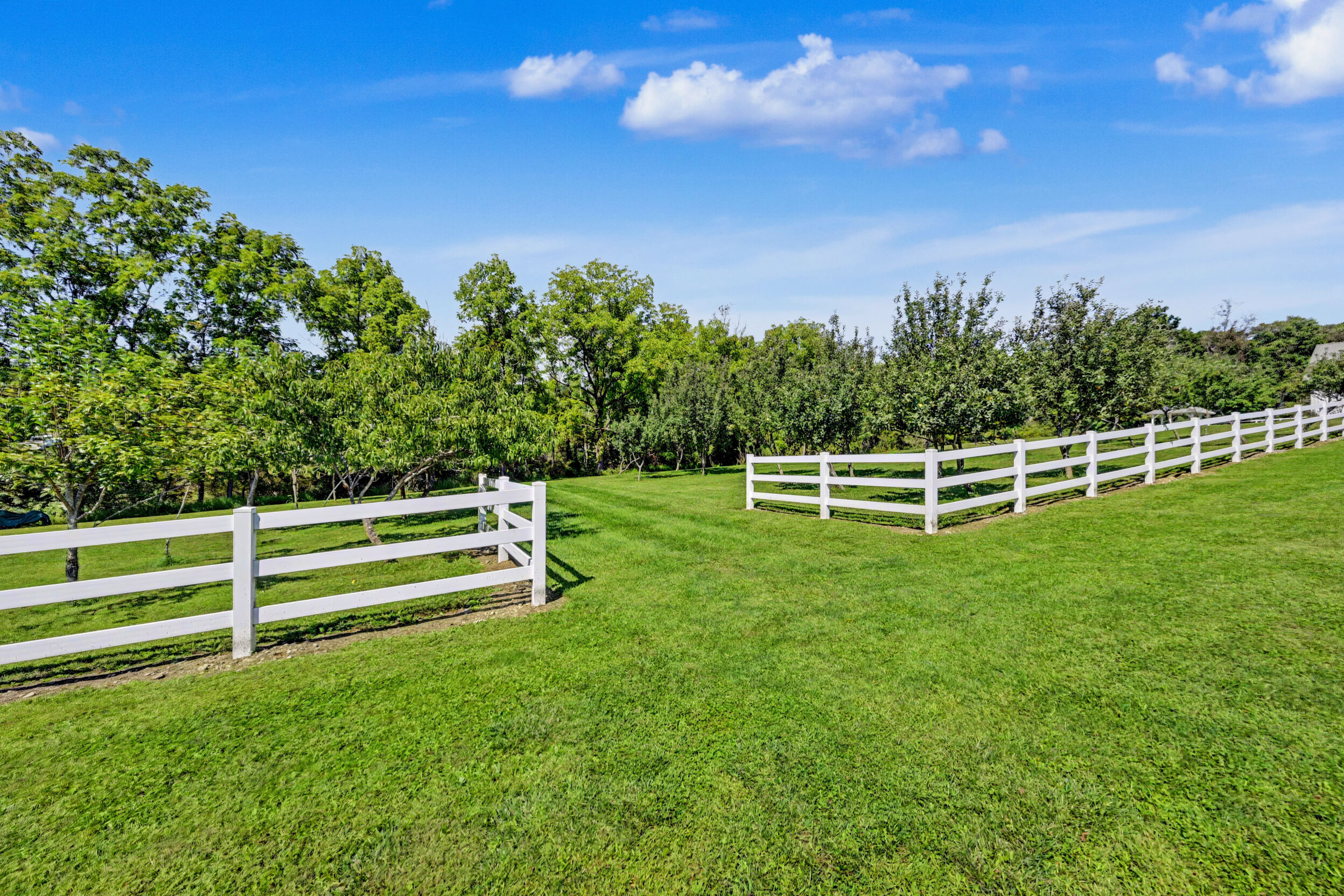 White-fenced pasture and parcel frontage