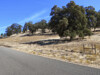 street view  - 4612 Bridgeport Dr