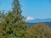 VIEW-3 - 1316 Primrose Way