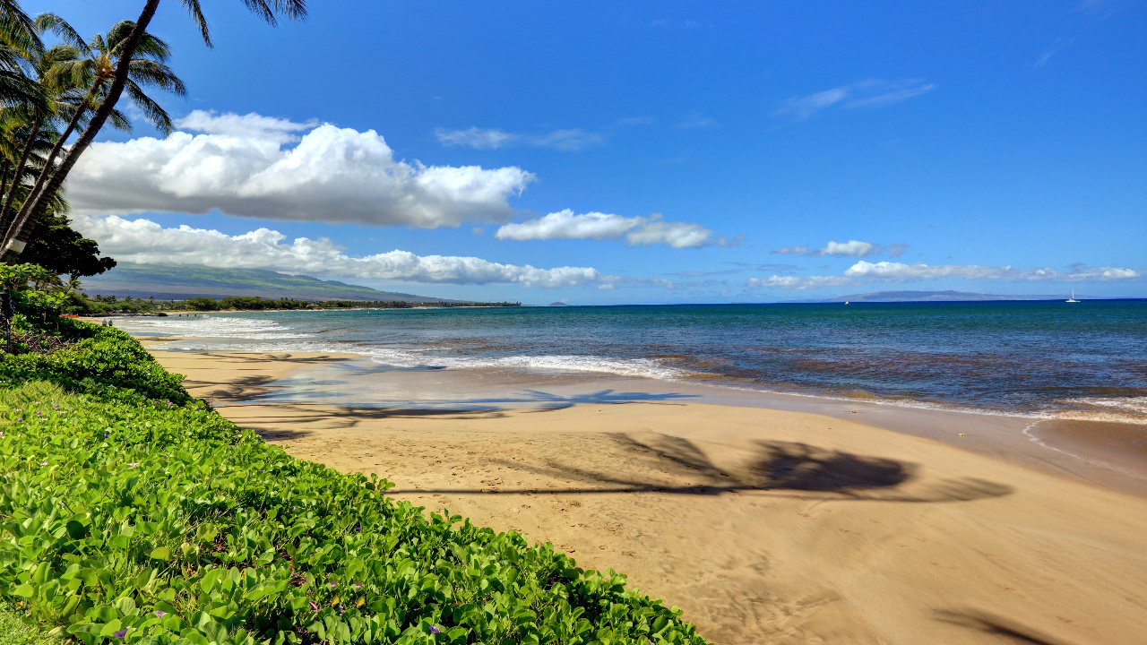 Sugar Beach facing South