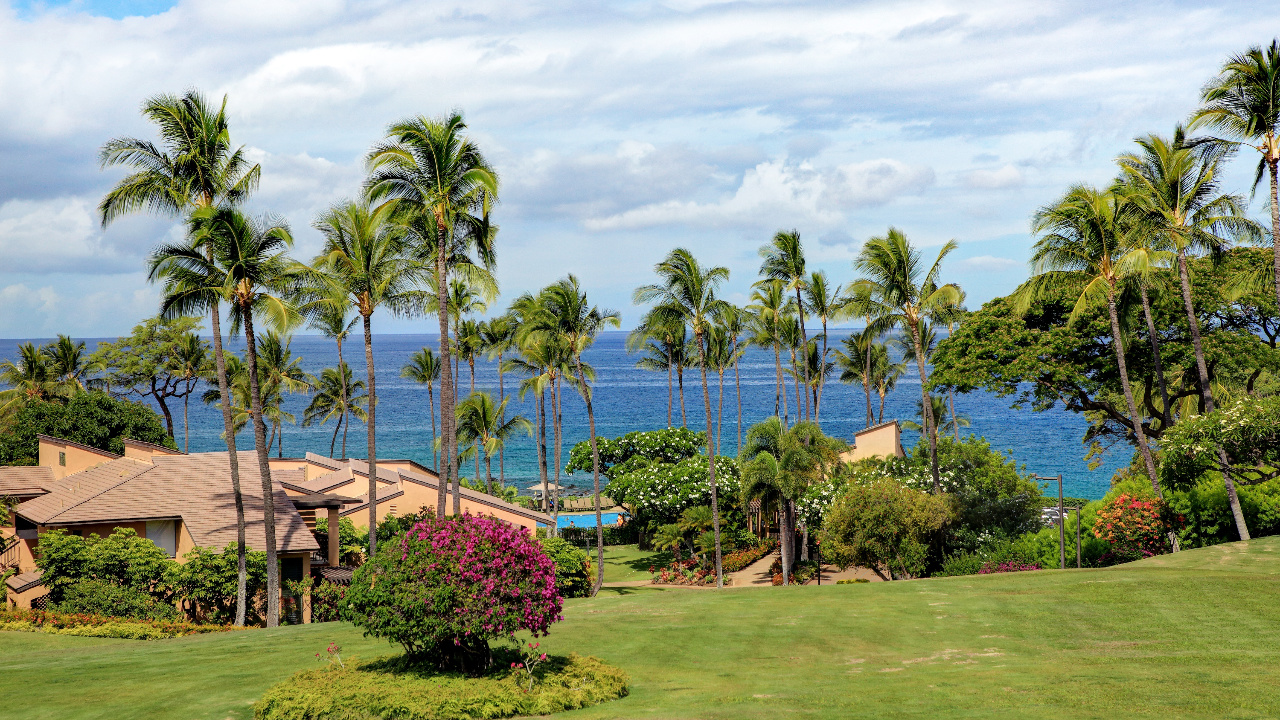 Courtyard Ocean View