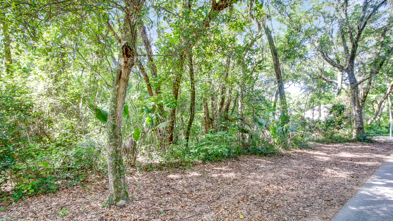Lot 13 Hickory Lane, Fernandina Beach, FL, 32034 Scene 3