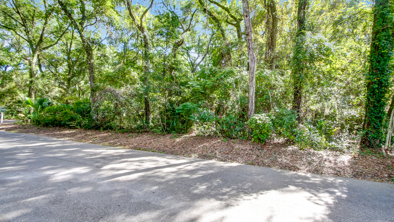 Lot 13 Hickory Lane, Fernandina Beach, FL, 32034 Scene 4