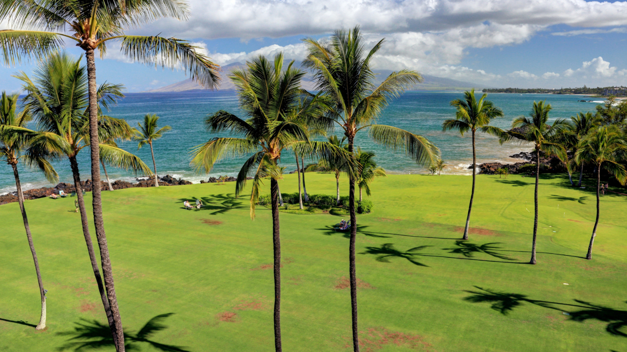 Courtyard Ocean View