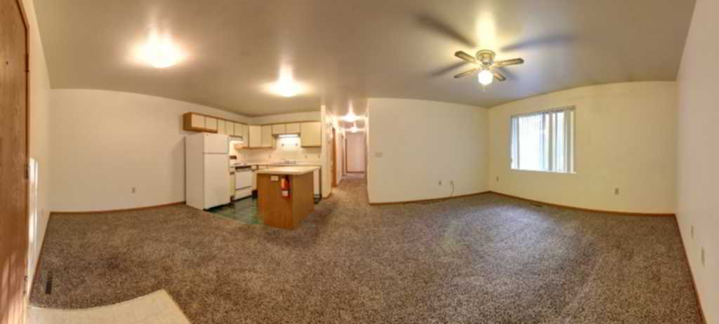 Living Room & Kitchen
