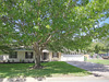 1228 Ridgwood Cir 
