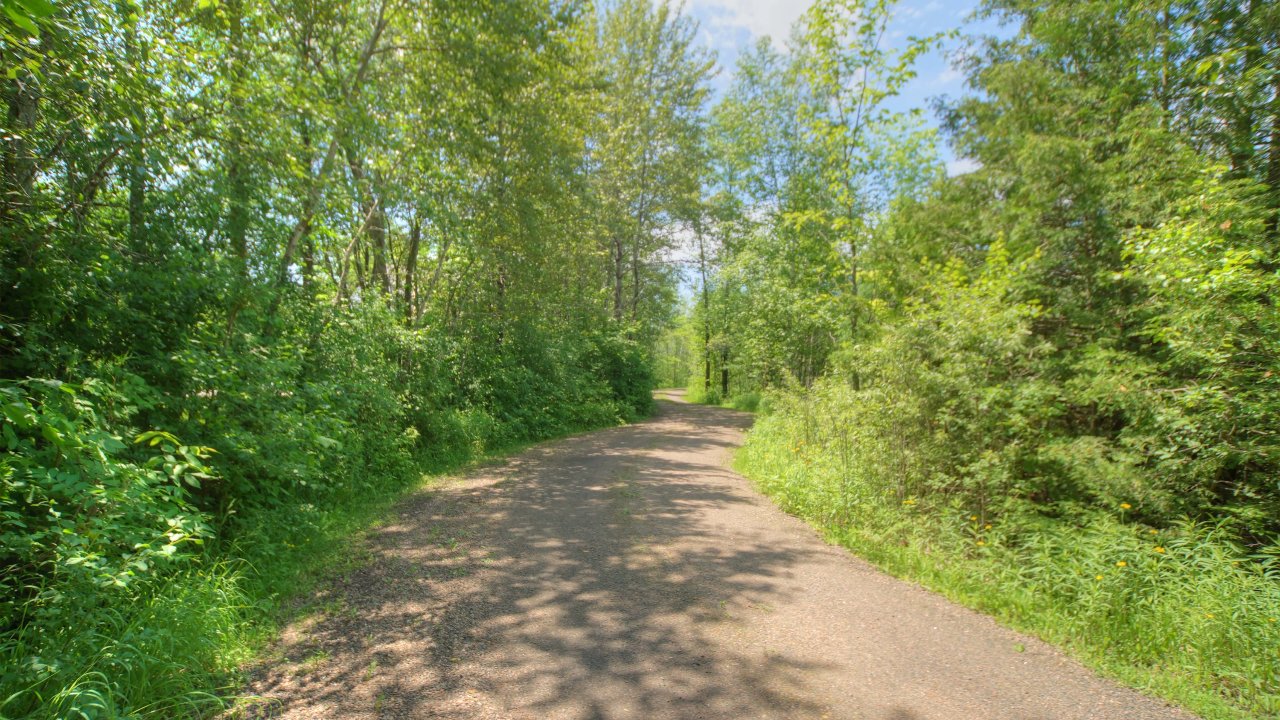 Winding tree lined drive