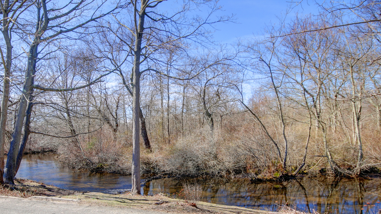 Front Water View